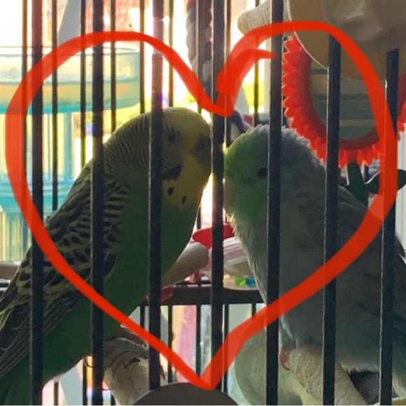 Meet your Posher, Cyndy Elizabeth - Picture 4 of 10